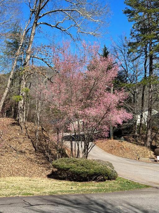 Creekside Gated Golf Mtn Villa W/Fast Wifi & Paved Franklin Exteriér fotografie