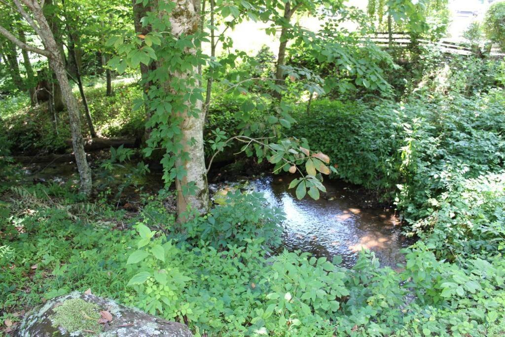 Creekside Gated Golf Mtn Villa W/Fast Wifi & Paved Franklin Exteriér fotografie