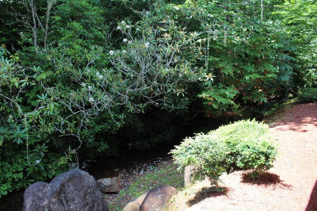Creekside Gated Golf Mtn Villa W/Fast Wifi & Paved Franklin Exteriér fotografie