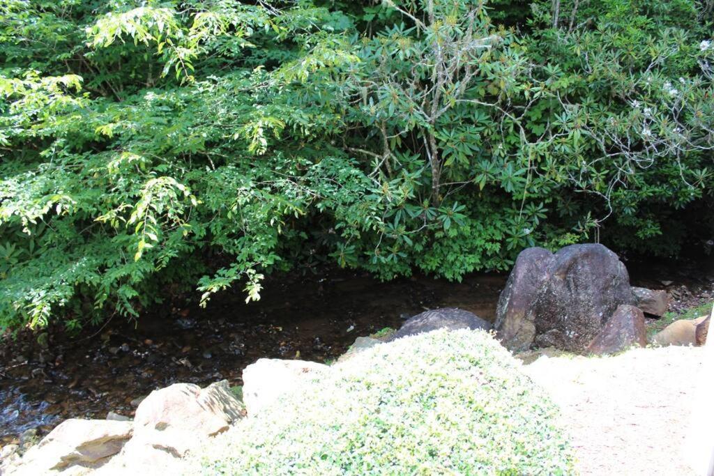 Creekside Gated Golf Mtn Villa W/Fast Wifi & Paved Franklin Exteriér fotografie
